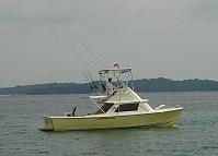 "Teaser" - Owned by Guillermo de Roux, Panama City, Panama