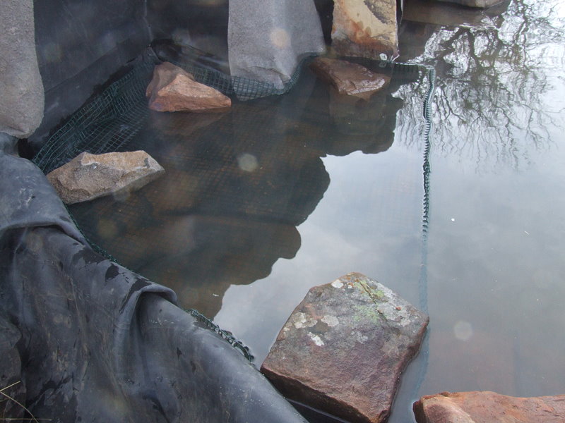 waterfall and pond progression