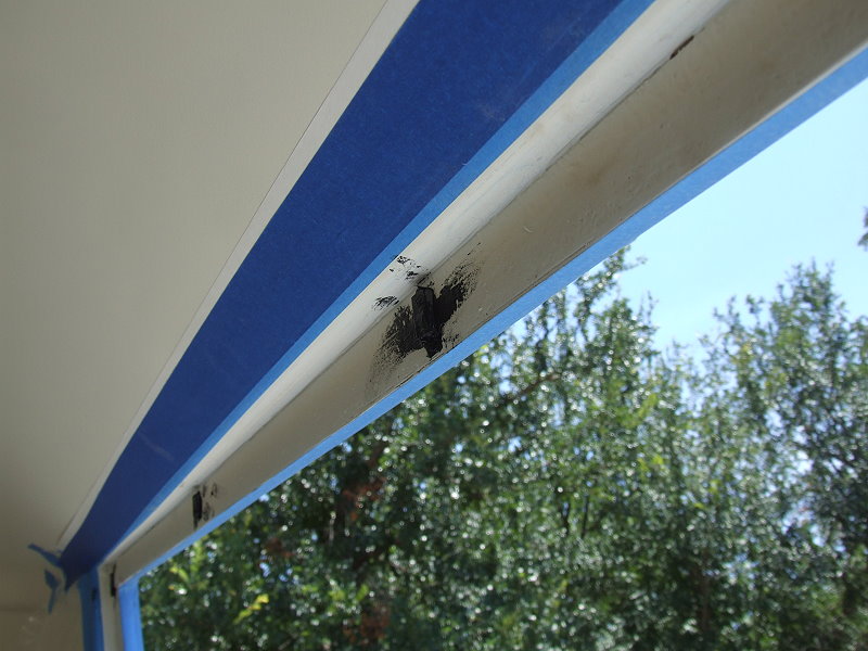 Installation of the Side Window Moldings