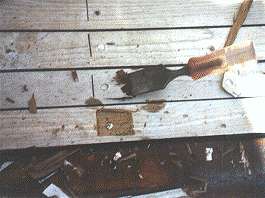 Chiseling out bungs.